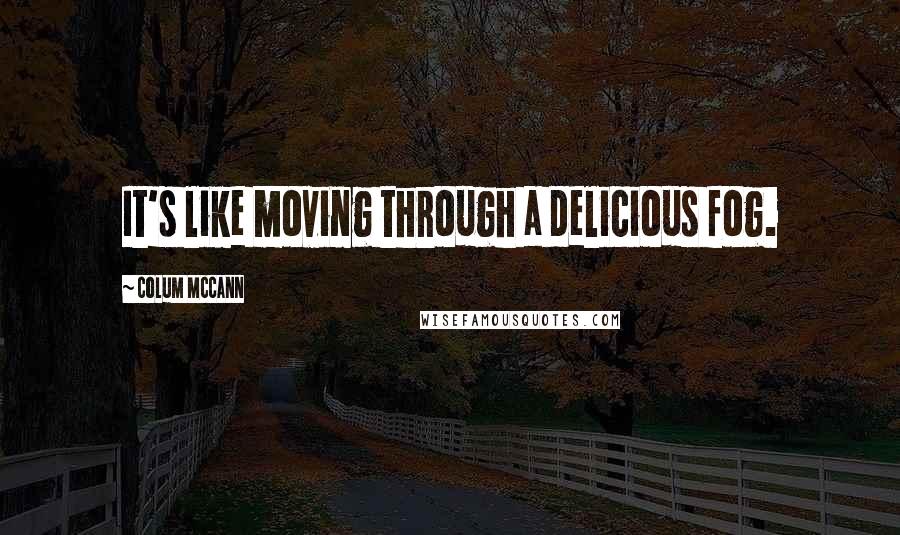 Colum McCann Quotes: It's like moving through a delicious fog.