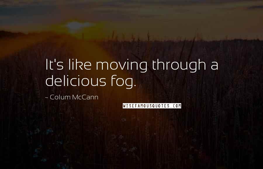 Colum McCann Quotes: It's like moving through a delicious fog.