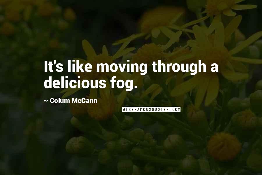 Colum McCann Quotes: It's like moving through a delicious fog.