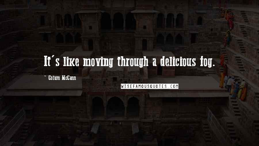 Colum McCann Quotes: It's like moving through a delicious fog.