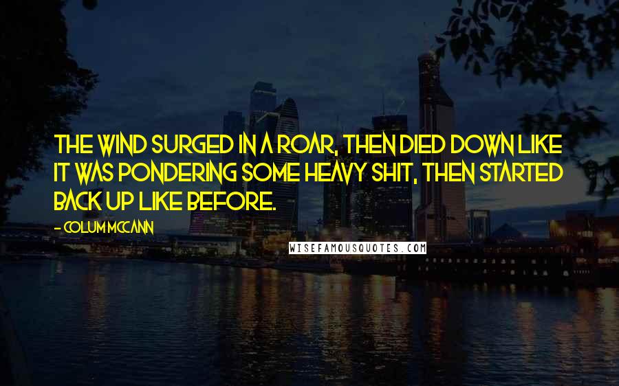 Colum McCann Quotes: The wind surged in a roar, then died down like it was pondering some heavy shit, then started back up like before.