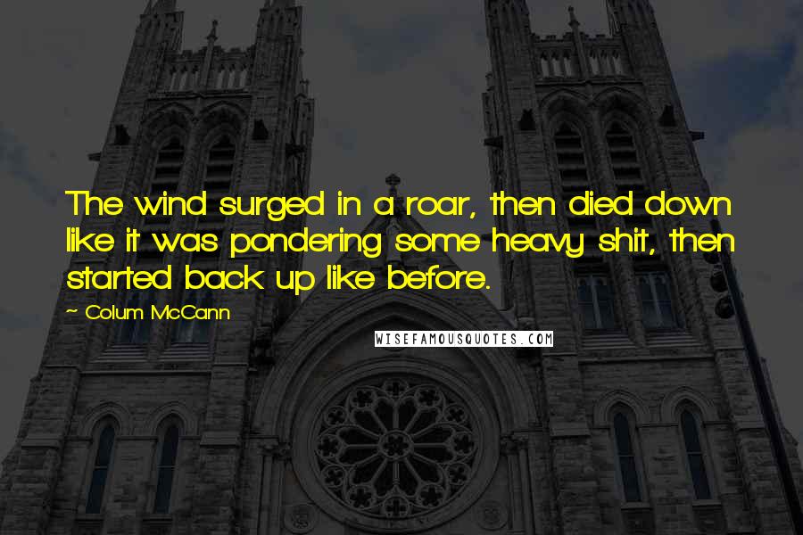 Colum McCann Quotes: The wind surged in a roar, then died down like it was pondering some heavy shit, then started back up like before.