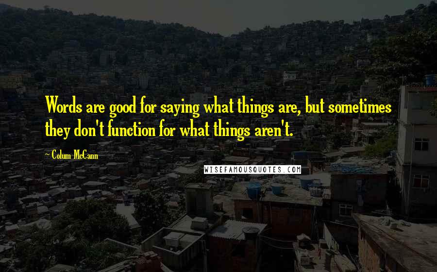 Colum McCann Quotes: Words are good for saying what things are, but sometimes they don't function for what things aren't.