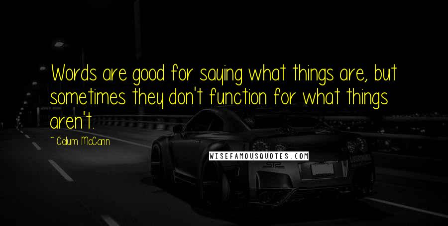 Colum McCann Quotes: Words are good for saying what things are, but sometimes they don't function for what things aren't.
