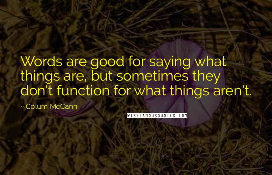 Colum McCann Quotes: Words are good for saying what things are, but sometimes they don't function for what things aren't.
