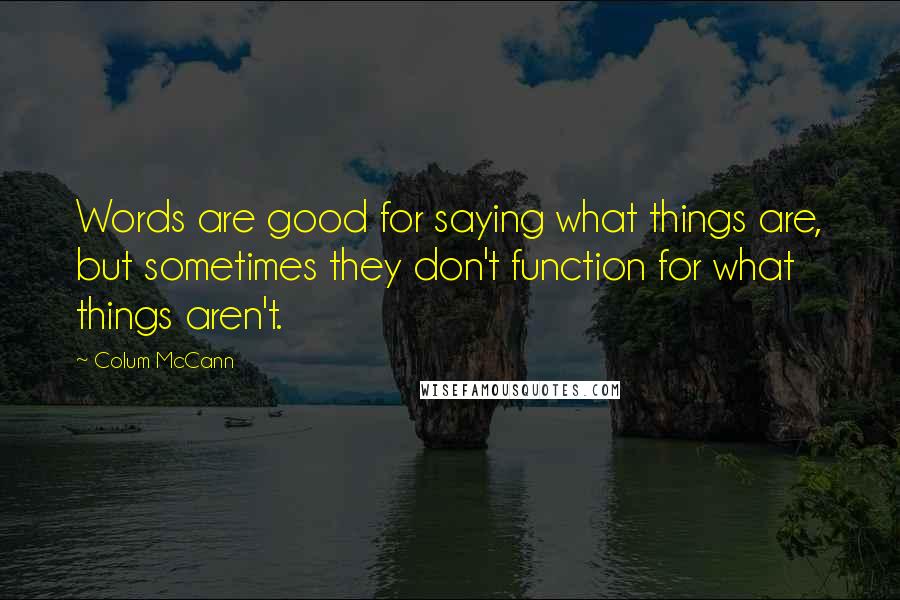 Colum McCann Quotes: Words are good for saying what things are, but sometimes they don't function for what things aren't.