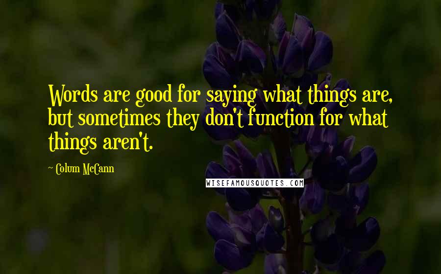 Colum McCann Quotes: Words are good for saying what things are, but sometimes they don't function for what things aren't.