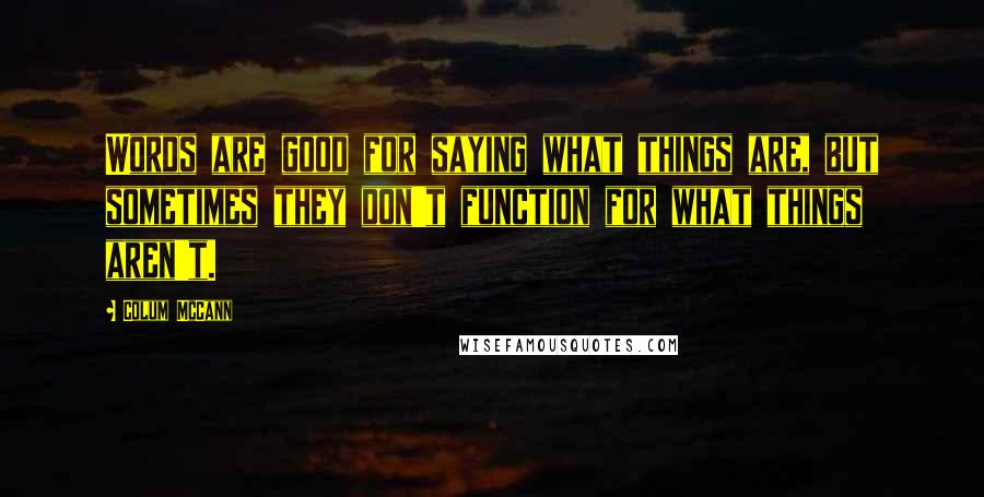 Colum McCann Quotes: Words are good for saying what things are, but sometimes they don't function for what things aren't.