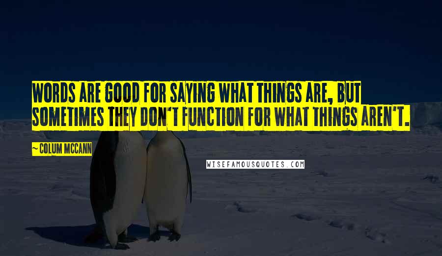 Colum McCann Quotes: Words are good for saying what things are, but sometimes they don't function for what things aren't.