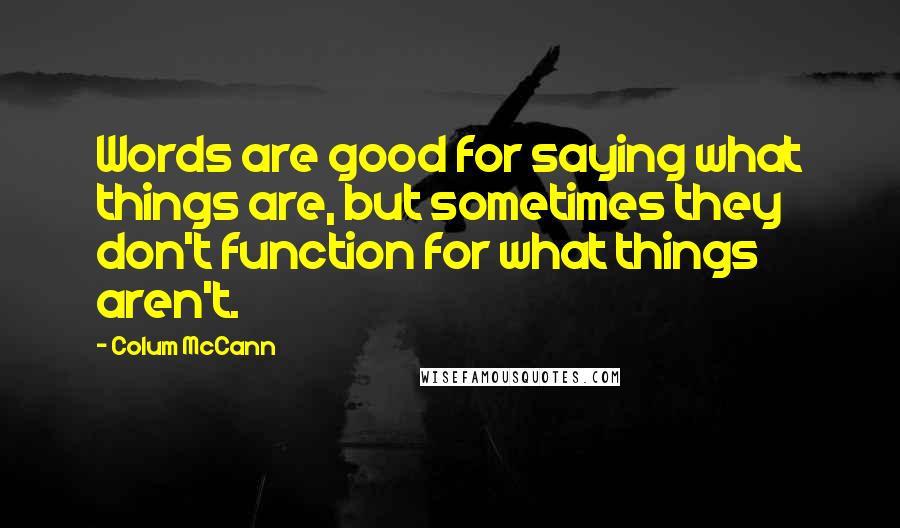 Colum McCann Quotes: Words are good for saying what things are, but sometimes they don't function for what things aren't.
