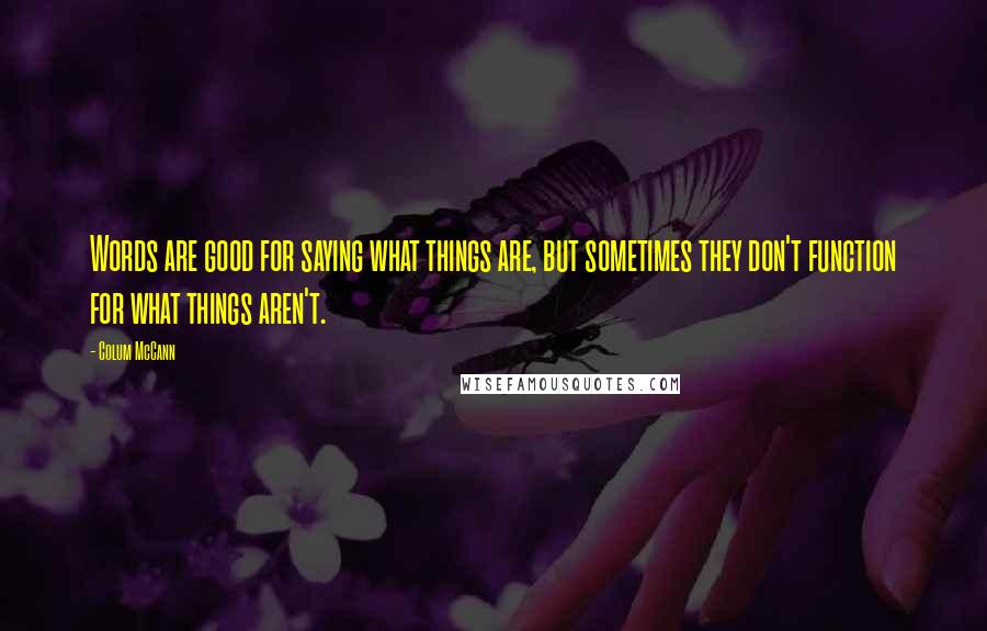 Colum McCann Quotes: Words are good for saying what things are, but sometimes they don't function for what things aren't.