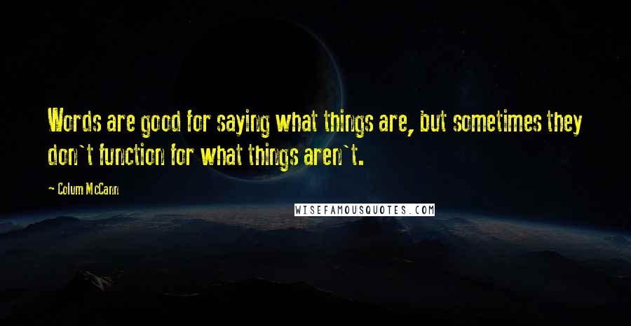 Colum McCann Quotes: Words are good for saying what things are, but sometimes they don't function for what things aren't.