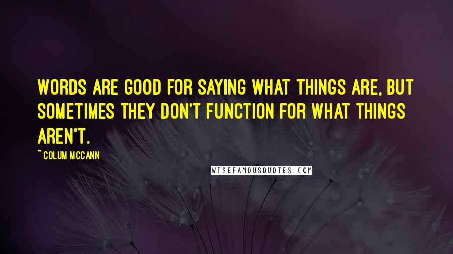 Colum McCann Quotes: Words are good for saying what things are, but sometimes they don't function for what things aren't.