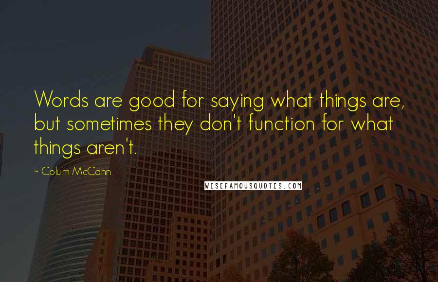 Colum McCann Quotes: Words are good for saying what things are, but sometimes they don't function for what things aren't.