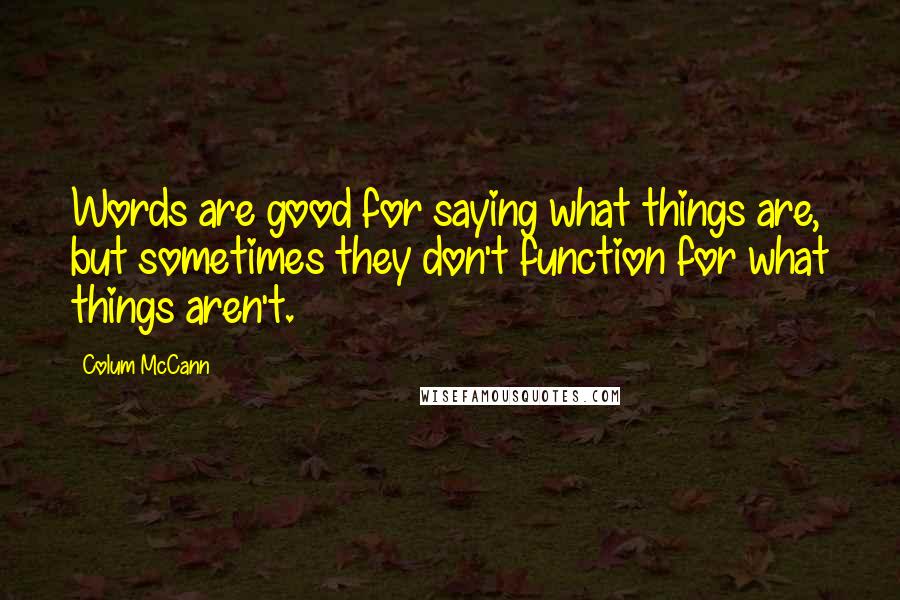Colum McCann Quotes: Words are good for saying what things are, but sometimes they don't function for what things aren't.