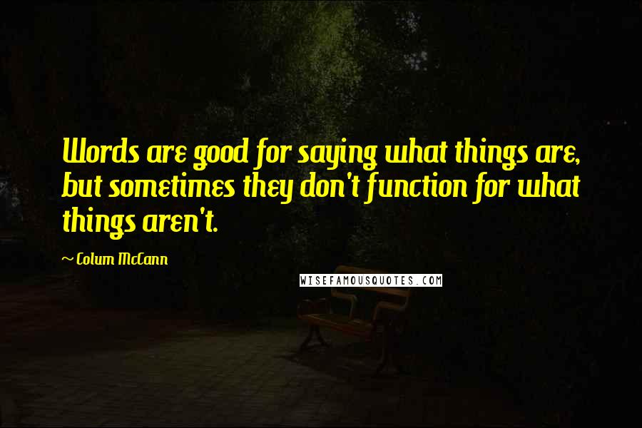 Colum McCann Quotes: Words are good for saying what things are, but sometimes they don't function for what things aren't.