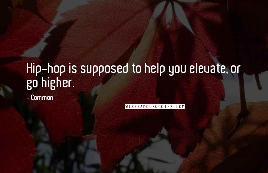 Common Quotes: Hip-hop is supposed to help you elevate, or go higher.