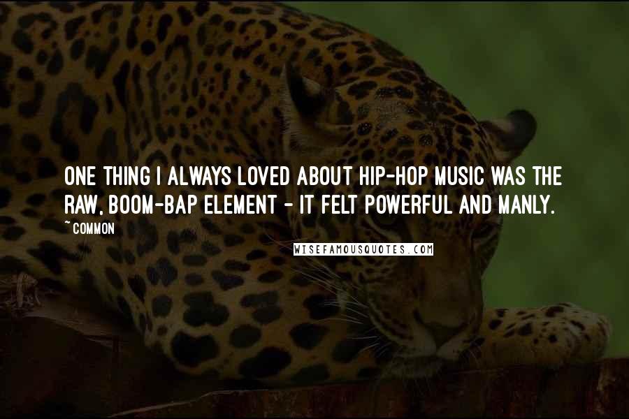 Common Quotes: One thing I always loved about hip-hop music was the raw, boom-bap element - it felt powerful and manly.
