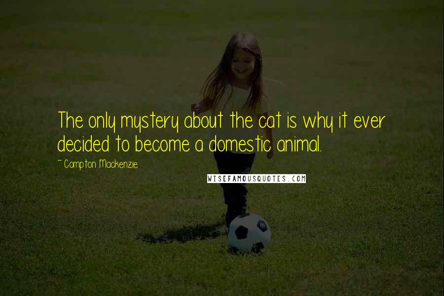 Compton Mackenzie Quotes: The only mystery about the cat is why it ever decided to become a domestic animal.