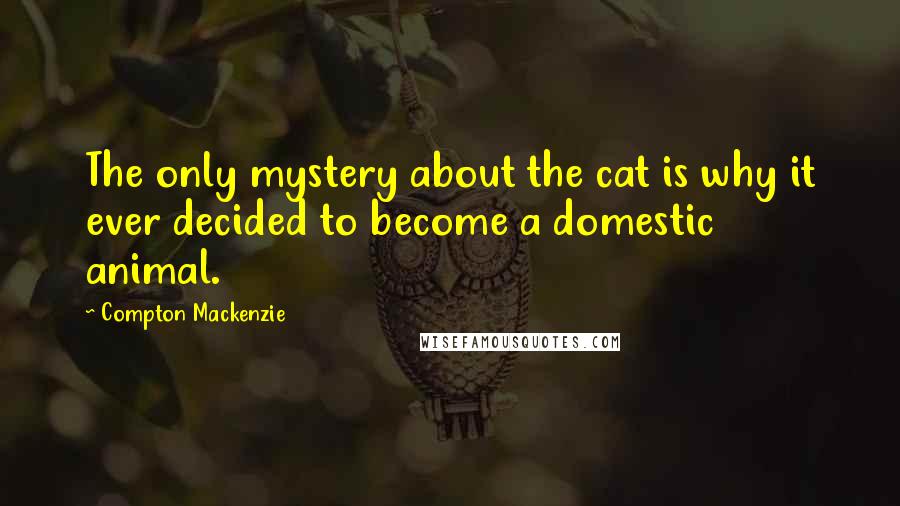 Compton Mackenzie Quotes: The only mystery about the cat is why it ever decided to become a domestic animal.