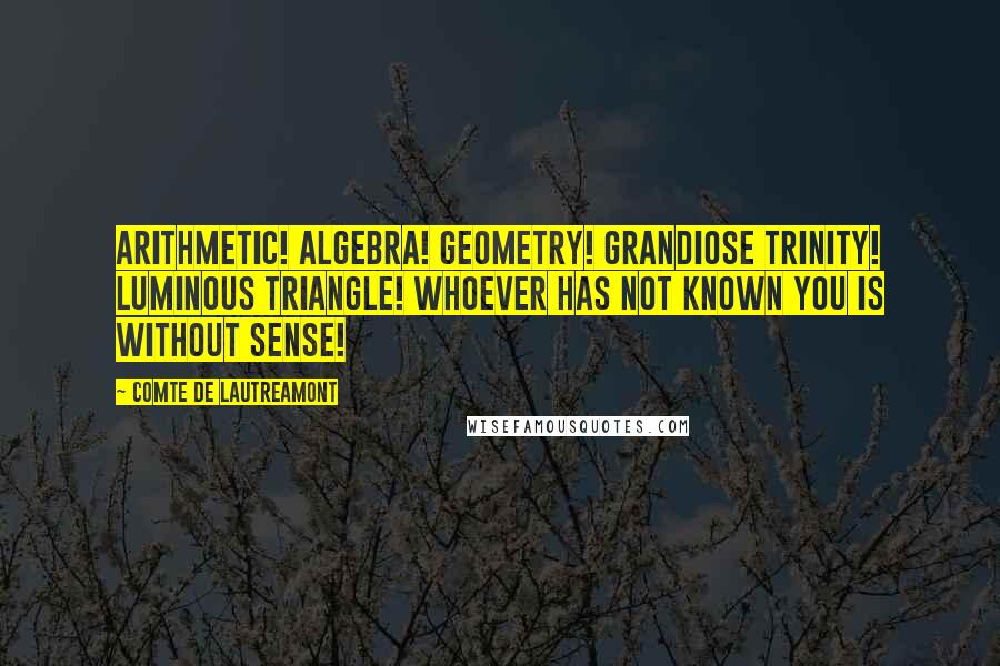 Comte De Lautreamont Quotes: Arithmetic! Algebra! Geometry! Grandiose trinity! Luminous triangle! Whoever has not known you is without sense!