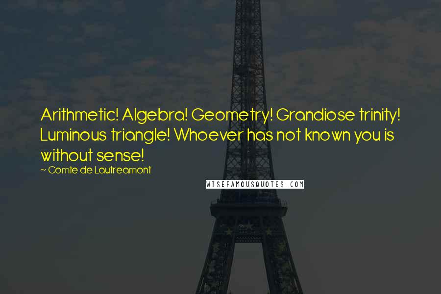 Comte De Lautreamont Quotes: Arithmetic! Algebra! Geometry! Grandiose trinity! Luminous triangle! Whoever has not known you is without sense!