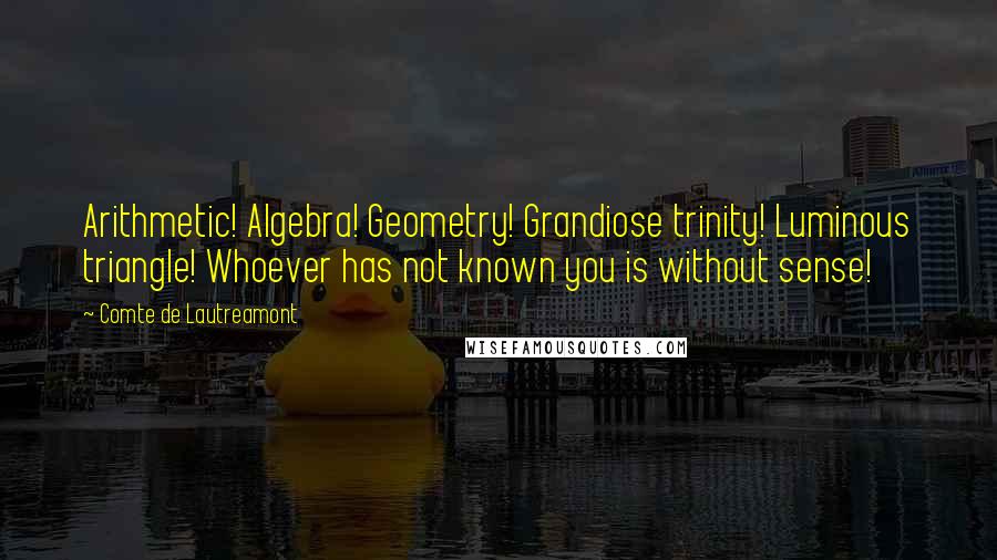 Comte De Lautreamont Quotes: Arithmetic! Algebra! Geometry! Grandiose trinity! Luminous triangle! Whoever has not known you is without sense!