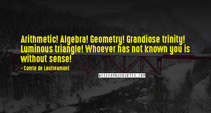 Comte De Lautreamont Quotes: Arithmetic! Algebra! Geometry! Grandiose trinity! Luminous triangle! Whoever has not known you is without sense!