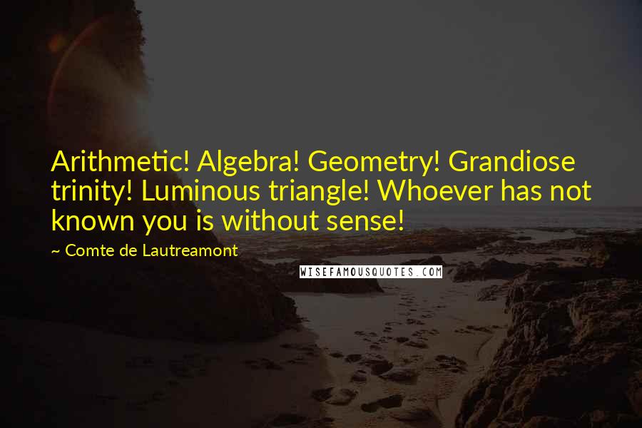 Comte De Lautreamont Quotes: Arithmetic! Algebra! Geometry! Grandiose trinity! Luminous triangle! Whoever has not known you is without sense!