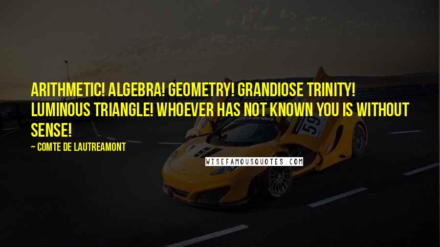 Comte De Lautreamont Quotes: Arithmetic! Algebra! Geometry! Grandiose trinity! Luminous triangle! Whoever has not known you is without sense!