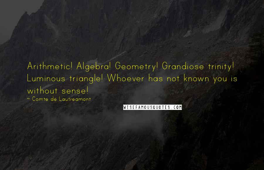 Comte De Lautreamont Quotes: Arithmetic! Algebra! Geometry! Grandiose trinity! Luminous triangle! Whoever has not known you is without sense!