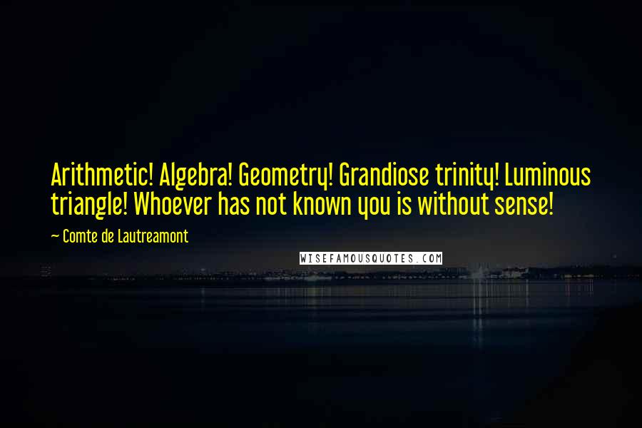 Comte De Lautreamont Quotes: Arithmetic! Algebra! Geometry! Grandiose trinity! Luminous triangle! Whoever has not known you is without sense!