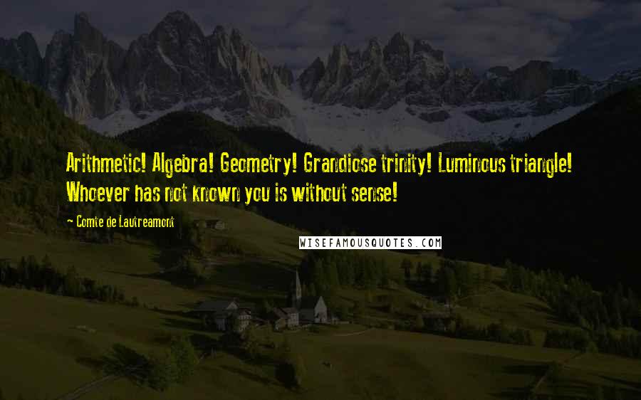 Comte De Lautreamont Quotes: Arithmetic! Algebra! Geometry! Grandiose trinity! Luminous triangle! Whoever has not known you is without sense!