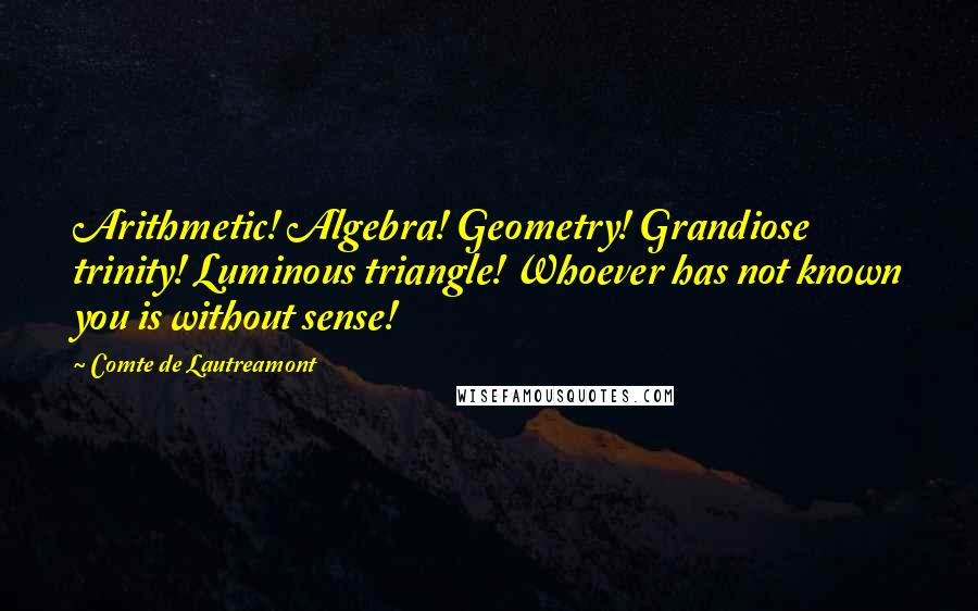 Comte De Lautreamont Quotes: Arithmetic! Algebra! Geometry! Grandiose trinity! Luminous triangle! Whoever has not known you is without sense!