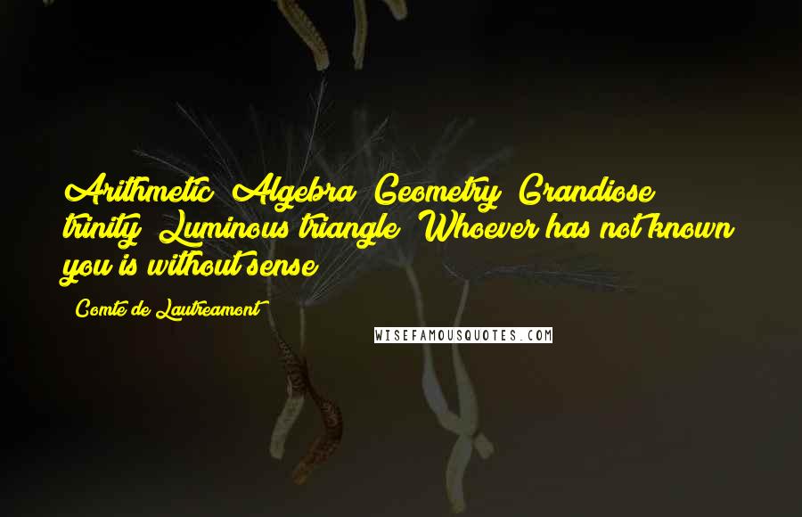 Comte De Lautreamont Quotes: Arithmetic! Algebra! Geometry! Grandiose trinity! Luminous triangle! Whoever has not known you is without sense!