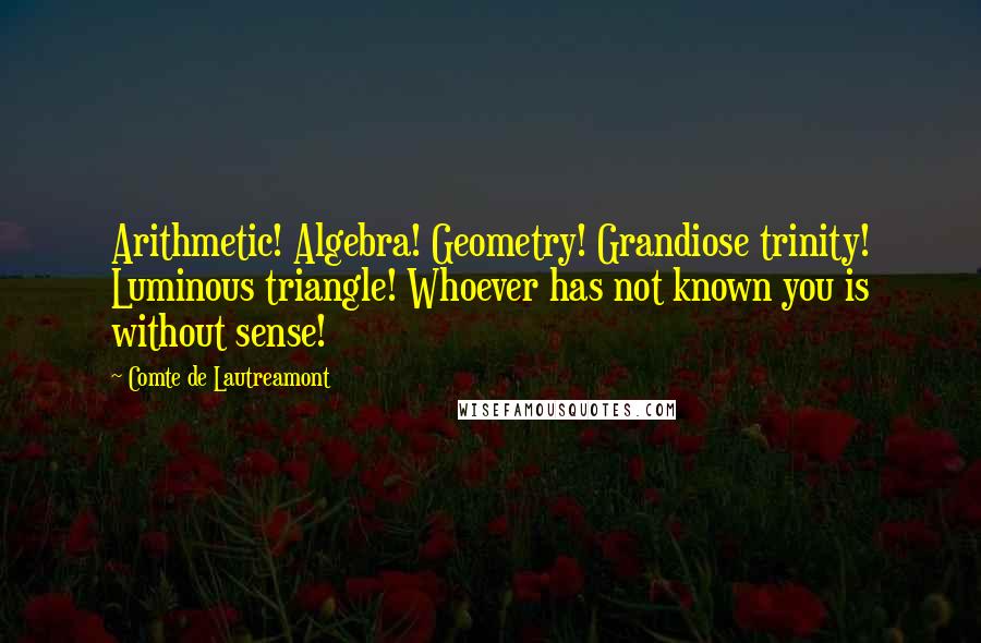 Comte De Lautreamont Quotes: Arithmetic! Algebra! Geometry! Grandiose trinity! Luminous triangle! Whoever has not known you is without sense!