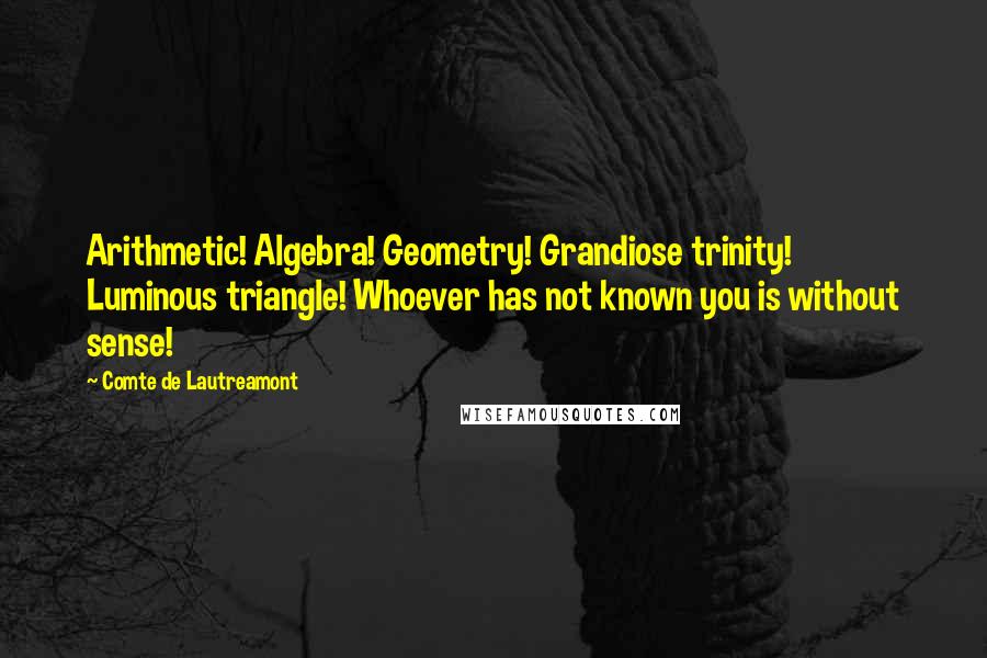 Comte De Lautreamont Quotes: Arithmetic! Algebra! Geometry! Grandiose trinity! Luminous triangle! Whoever has not known you is without sense!