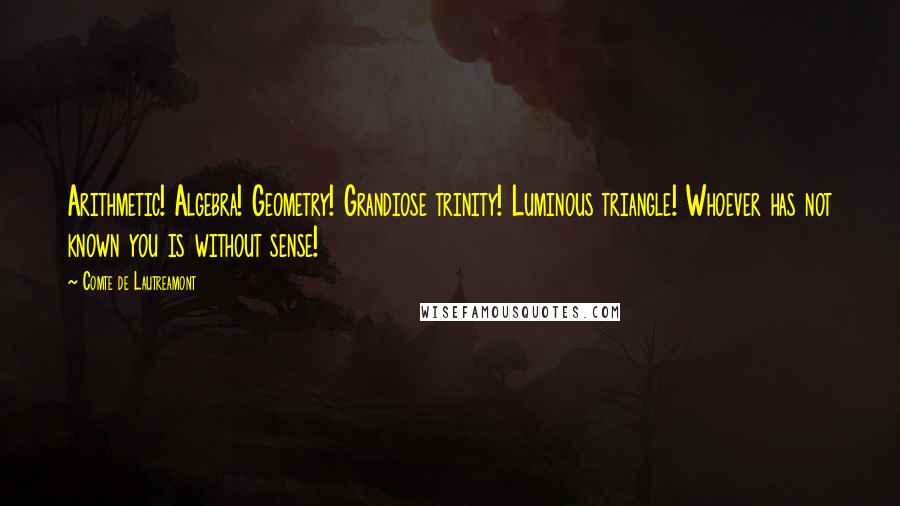 Comte De Lautreamont Quotes: Arithmetic! Algebra! Geometry! Grandiose trinity! Luminous triangle! Whoever has not known you is without sense!