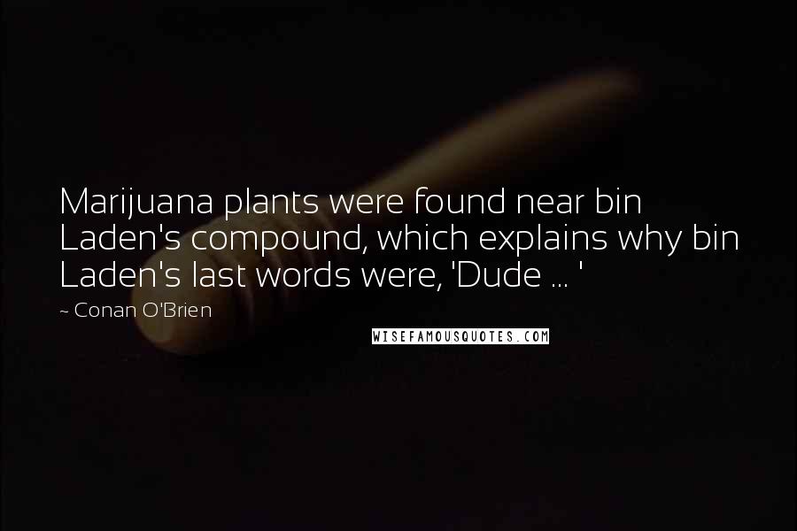 Conan O'Brien Quotes: Marijuana plants were found near bin Laden's compound, which explains why bin Laden's last words were, 'Dude ... '