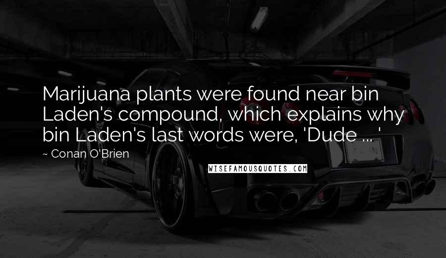 Conan O'Brien Quotes: Marijuana plants were found near bin Laden's compound, which explains why bin Laden's last words were, 'Dude ... '