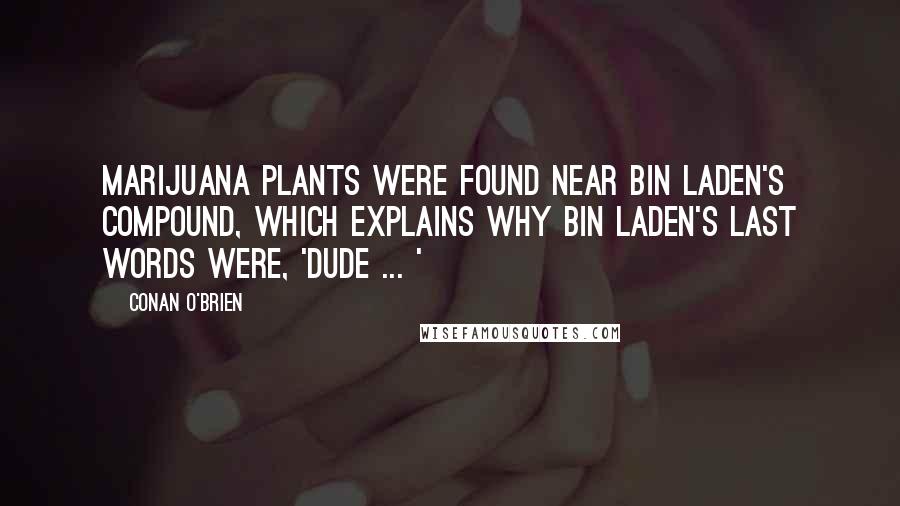 Conan O'Brien Quotes: Marijuana plants were found near bin Laden's compound, which explains why bin Laden's last words were, 'Dude ... '