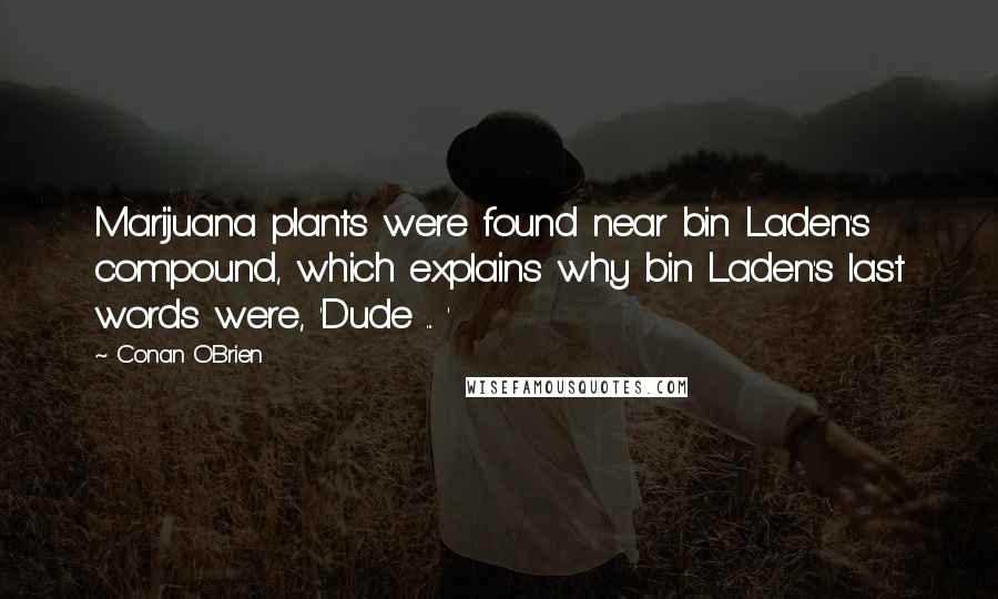 Conan O'Brien Quotes: Marijuana plants were found near bin Laden's compound, which explains why bin Laden's last words were, 'Dude ... '