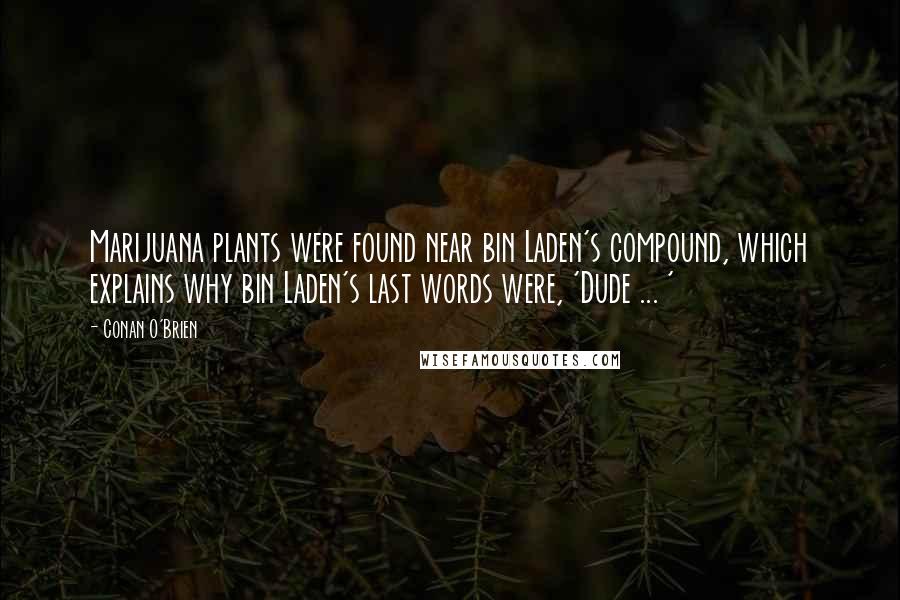 Conan O'Brien Quotes: Marijuana plants were found near bin Laden's compound, which explains why bin Laden's last words were, 'Dude ... '