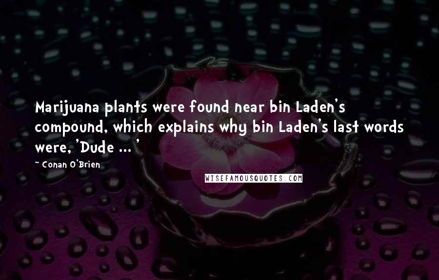 Conan O'Brien Quotes: Marijuana plants were found near bin Laden's compound, which explains why bin Laden's last words were, 'Dude ... '