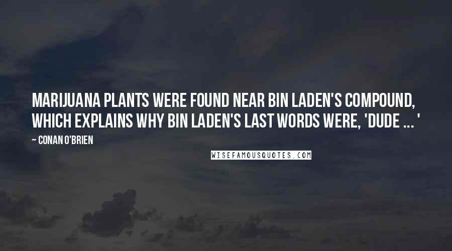 Conan O'Brien Quotes: Marijuana plants were found near bin Laden's compound, which explains why bin Laden's last words were, 'Dude ... '