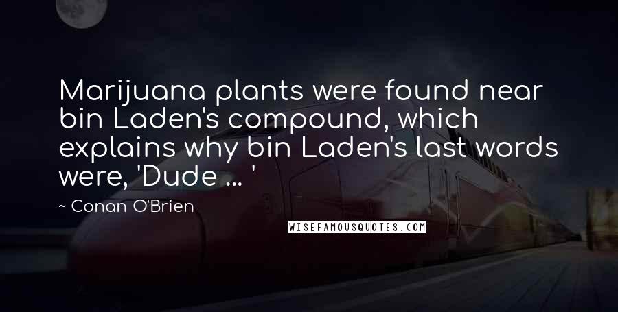 Conan O'Brien Quotes: Marijuana plants were found near bin Laden's compound, which explains why bin Laden's last words were, 'Dude ... '