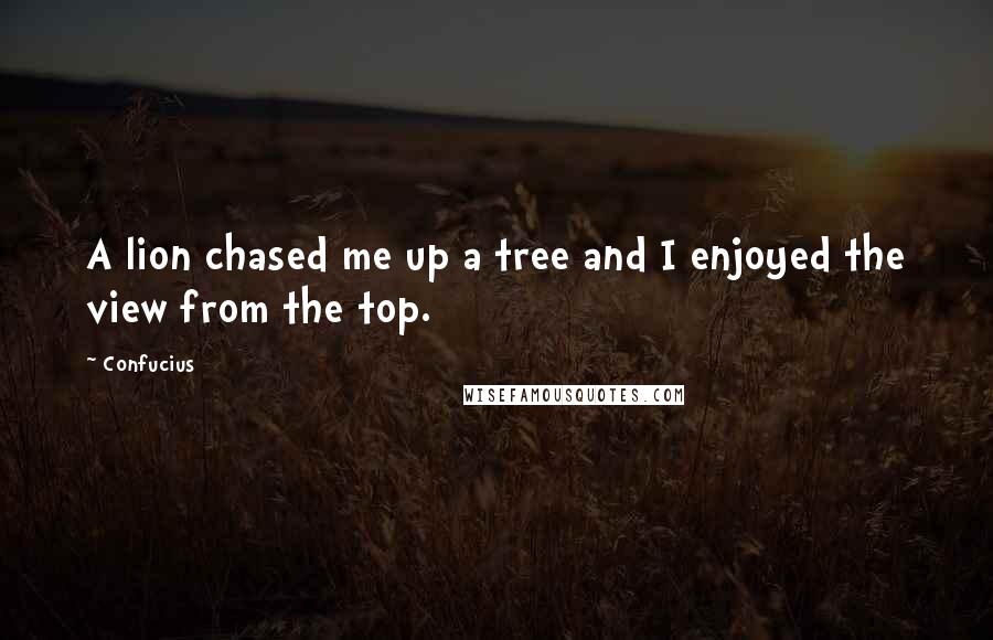 Confucius Quotes: A lion chased me up a tree and I enjoyed the view from the top.