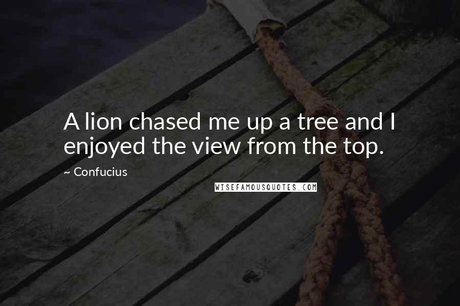 Confucius Quotes: A lion chased me up a tree and I enjoyed the view from the top.