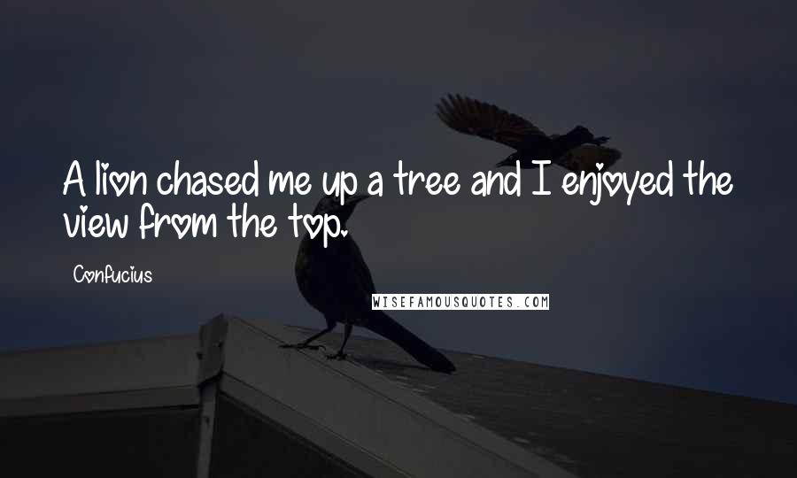 Confucius Quotes: A lion chased me up a tree and I enjoyed the view from the top.