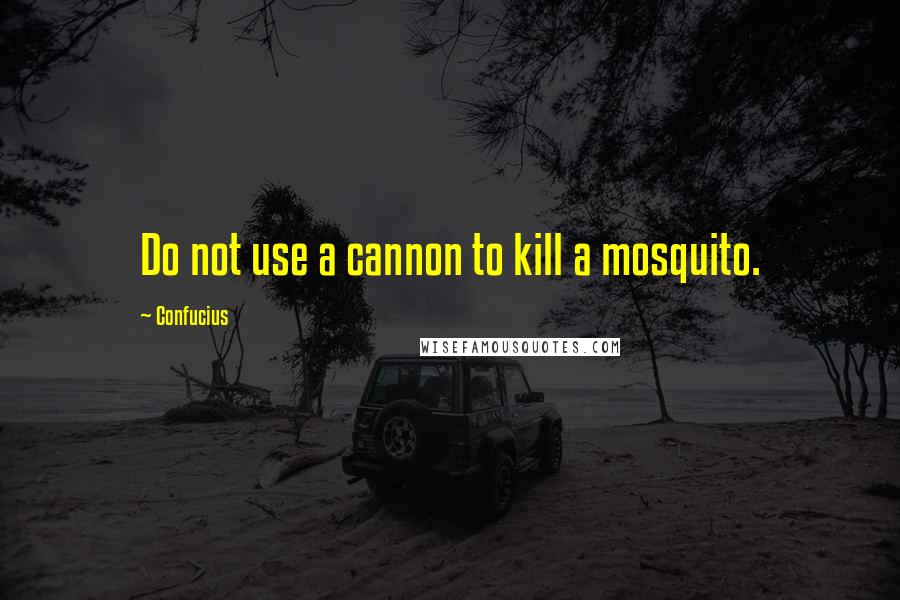 Confucius Quotes: Do not use a cannon to kill a mosquito.